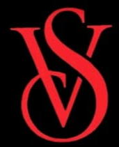 VS Logo